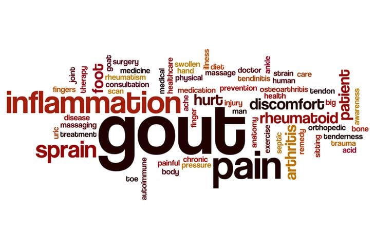 What is Gout?