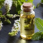 Top 10 Uses for Peppermint Oil