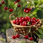 10 Home Remedies for Better Memory
