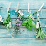 8 Foods that Naturally Improve Bad Breath