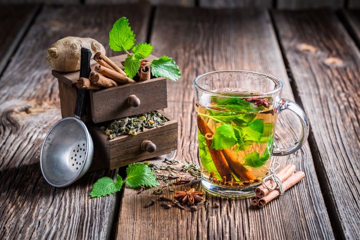 9 Reasons Why You Need Lemon Balm In Your Garden