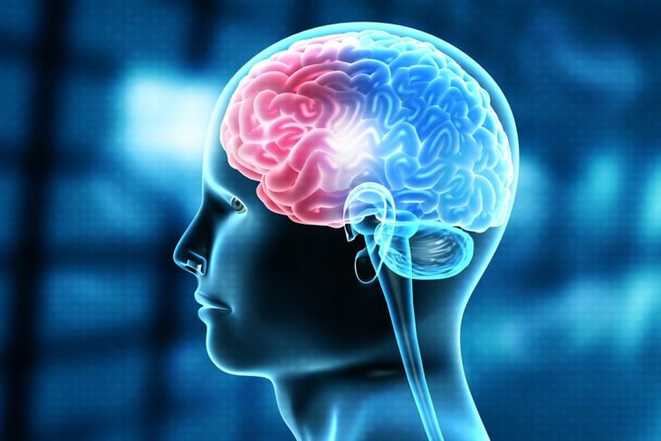 Human brain injury, damage,hemorrhage