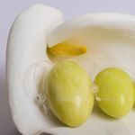 10 Treatments for Incontinence