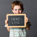 10 Symptoms of Head Lice