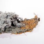 10 Causes of Mesothelioma Cancer