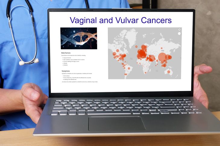 Medical concept meaning Vaginal and Vulvar Cancers  with sign on the piece of paper.

