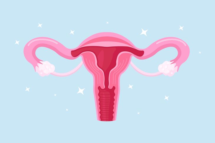 15 Symptoms of Vulvar Cancer