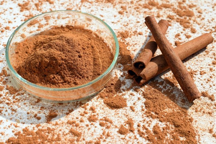 Cinnamon powder in a petri dish and cinnamon sticks, white background