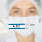 Rabies Symptoms: A Simple Guide to Detecting the Disease