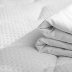 Effective Natural Remedies to Combat Bed Bug Infestations