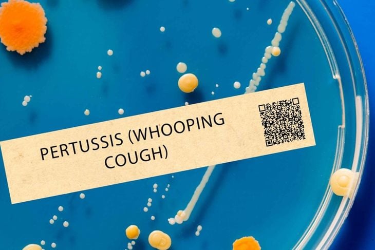 Pertussis (whooping cough) - Bacterial infection that can cause severe coughing and respiratory distress.