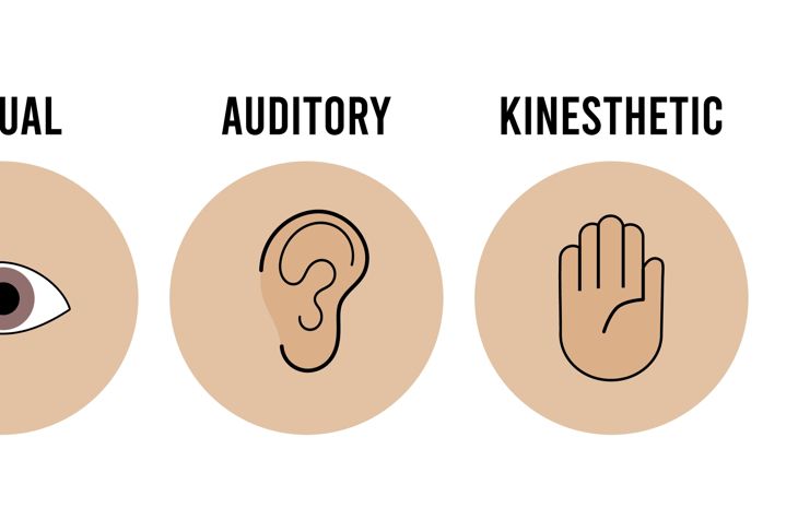 Human sense, learning method icon, visual, auditory, and kinesthetic, vector illustration
