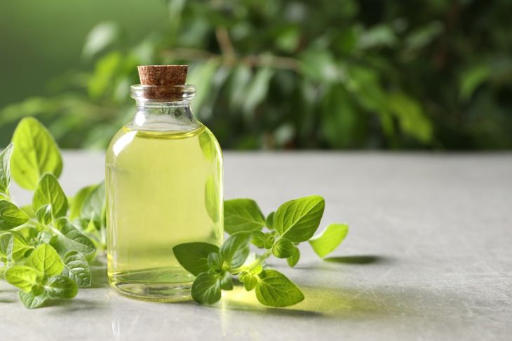 Essential oil in bottle and oregano twigs on light grey textured table against blurred green background, closeup.
