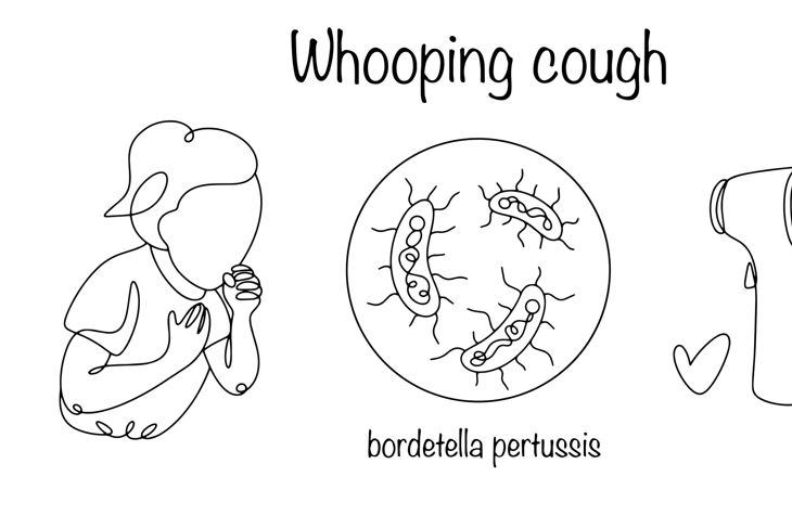 An infectious disease caused by the bacterium Bordetella pertussis