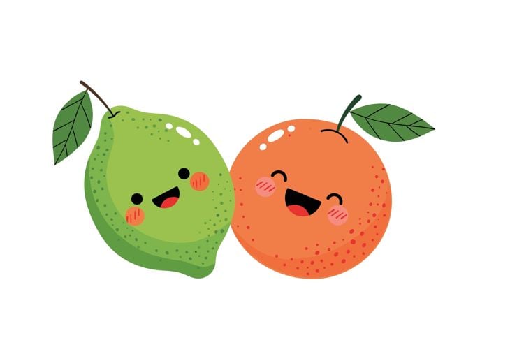 Two cheerful cartoon citrus fruits, a vibrant green lime and a sunny orange, depicted side-by-side with cute smiling faces