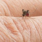 10 Symptoms of Yellow Fever