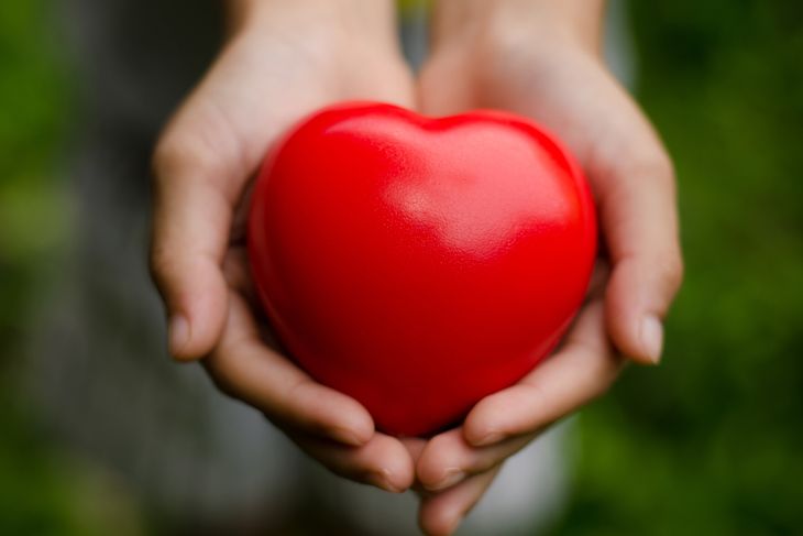 10 Facts About Organ Transplants