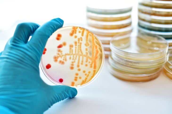 10 Symptoms of Diphtheria