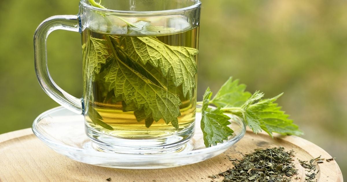 Boost Your Health with These 15 Diuretic Foods Facty Health