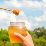 The Surprising Role of Honey in Intellectual Development
