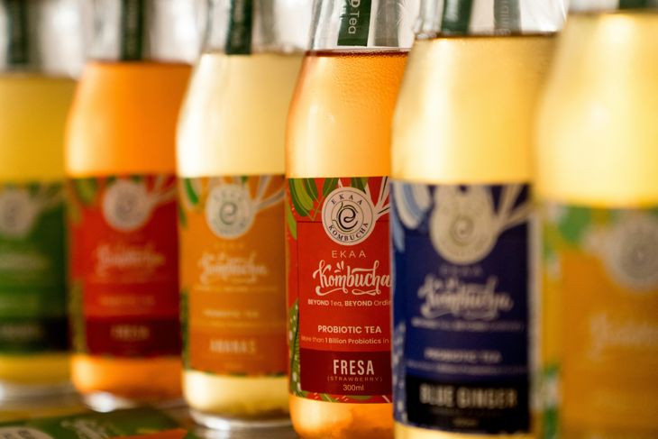 A row of bottles filled with kombucha sitting in a store fridge