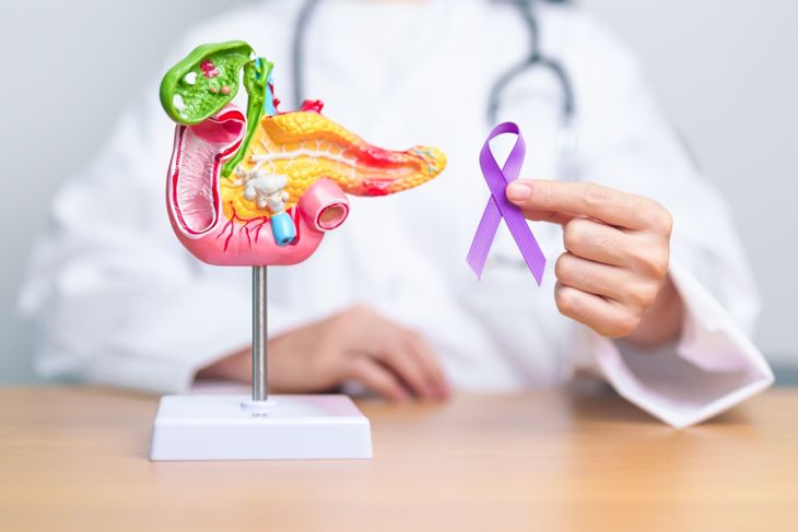 Doctor holding Purple ribbon with human Pancreas model for support Pancreatic cancer