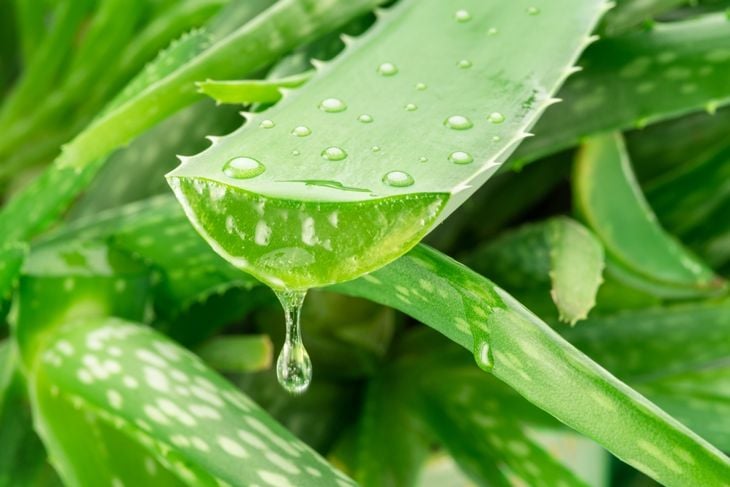 Try These 10 Methods to Improve Skin Elasticity