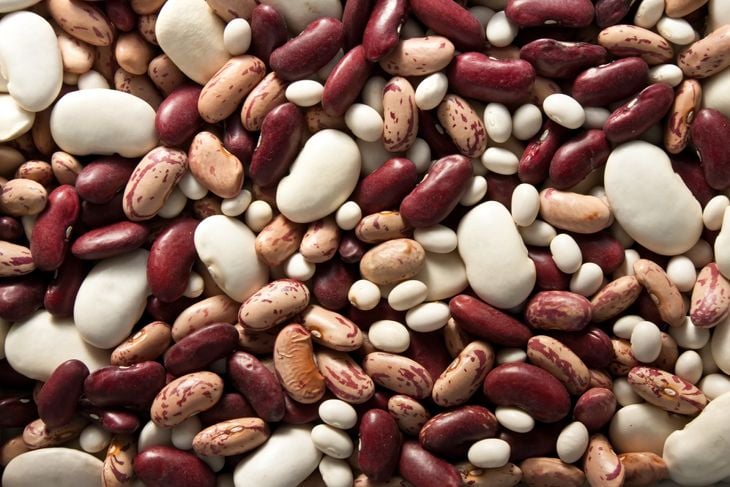 Various types of bean