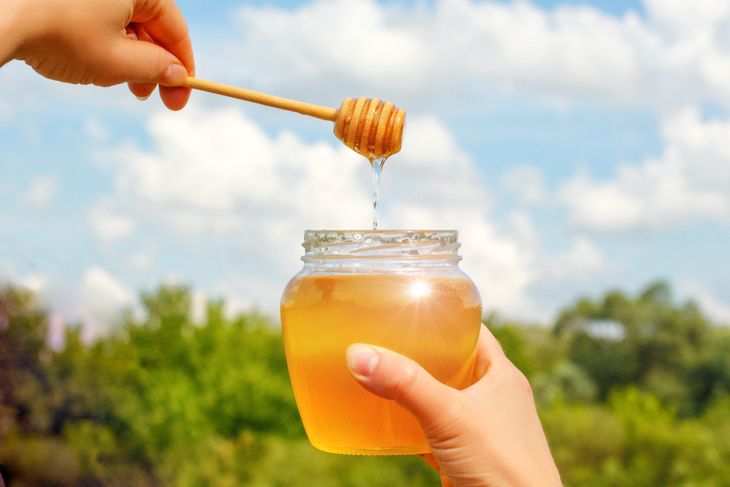 The Surprising Role of Honey in Intellectual Development