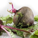 Unveiling the 14 Nutritional Benefits of Beets