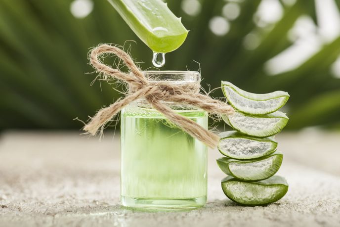 Can Aloe Vera Boost Your Immune System and More?