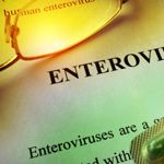 10 Facts about Enterovirus