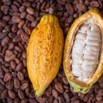 What Are the 10 Best Raw Foods to Include in Your Diet?