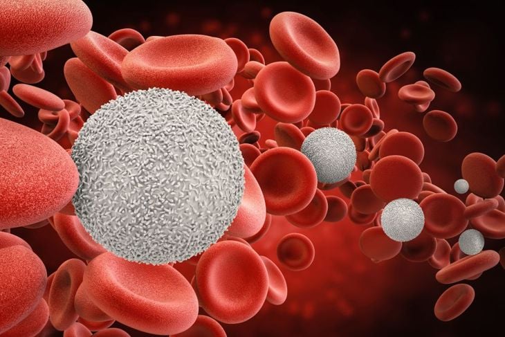 Causes of Low White Blood Cell Count