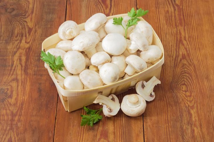 Discover the Power of Mushrooms for Your Well-being