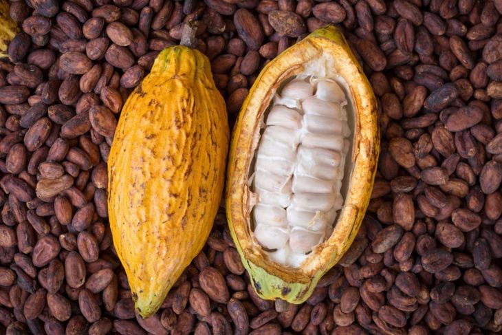 What Are the 10 Best Raw Foods to Include in Your Diet?