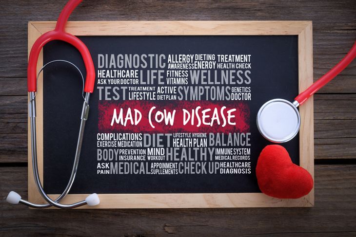 10 Symptoms of Mad Cow Disease