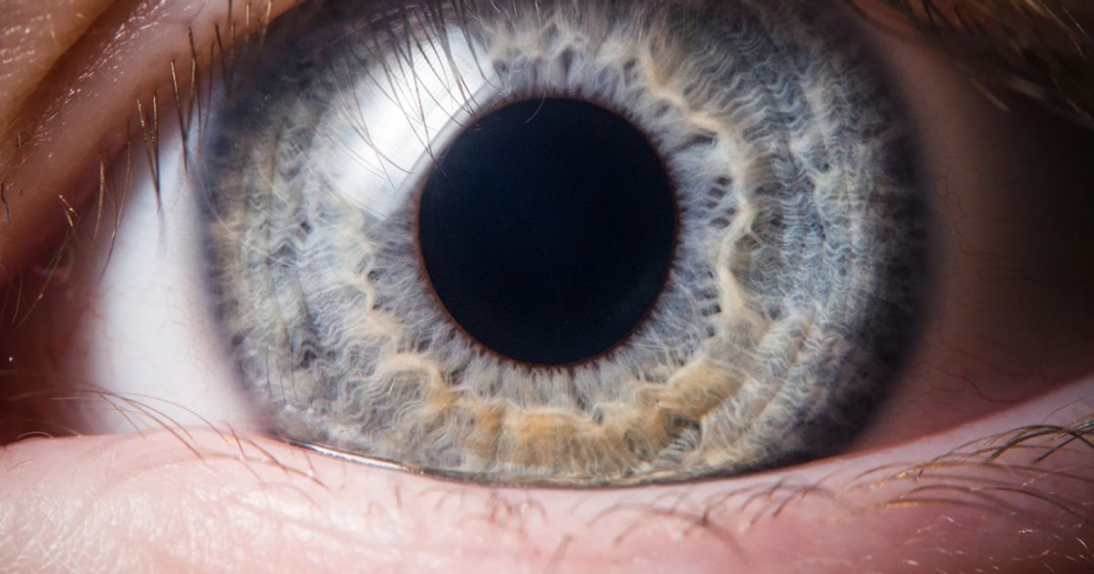 8 Treatments of Macular Degeneration (and How to Prevent it) Facty Health