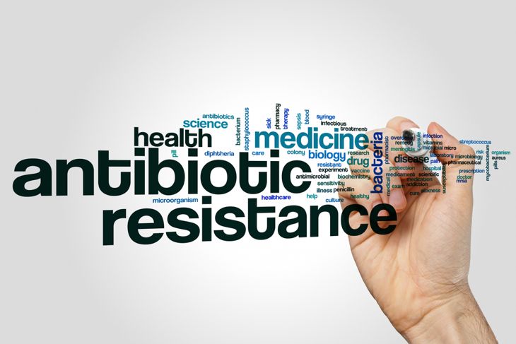 Understanding Antibiotic Resistance