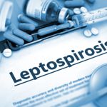 10 Symptoms and Treatments of Leptospirosis