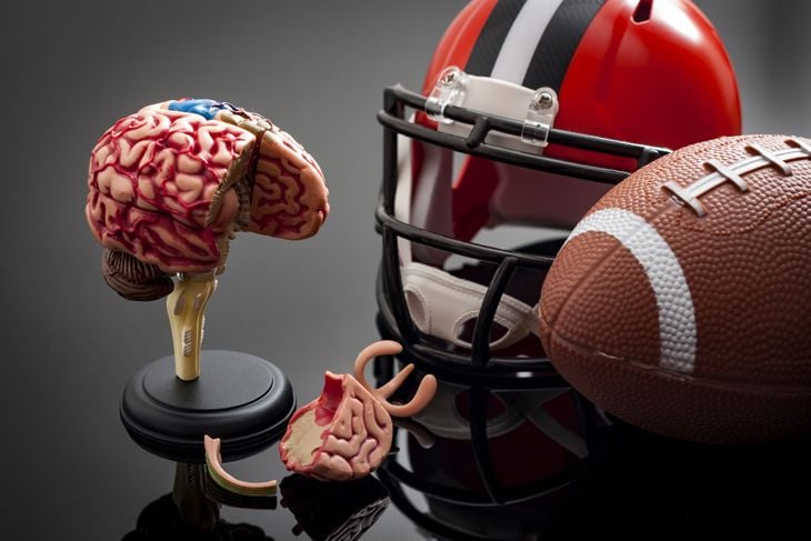 What are the Ten Indicators of CTE?