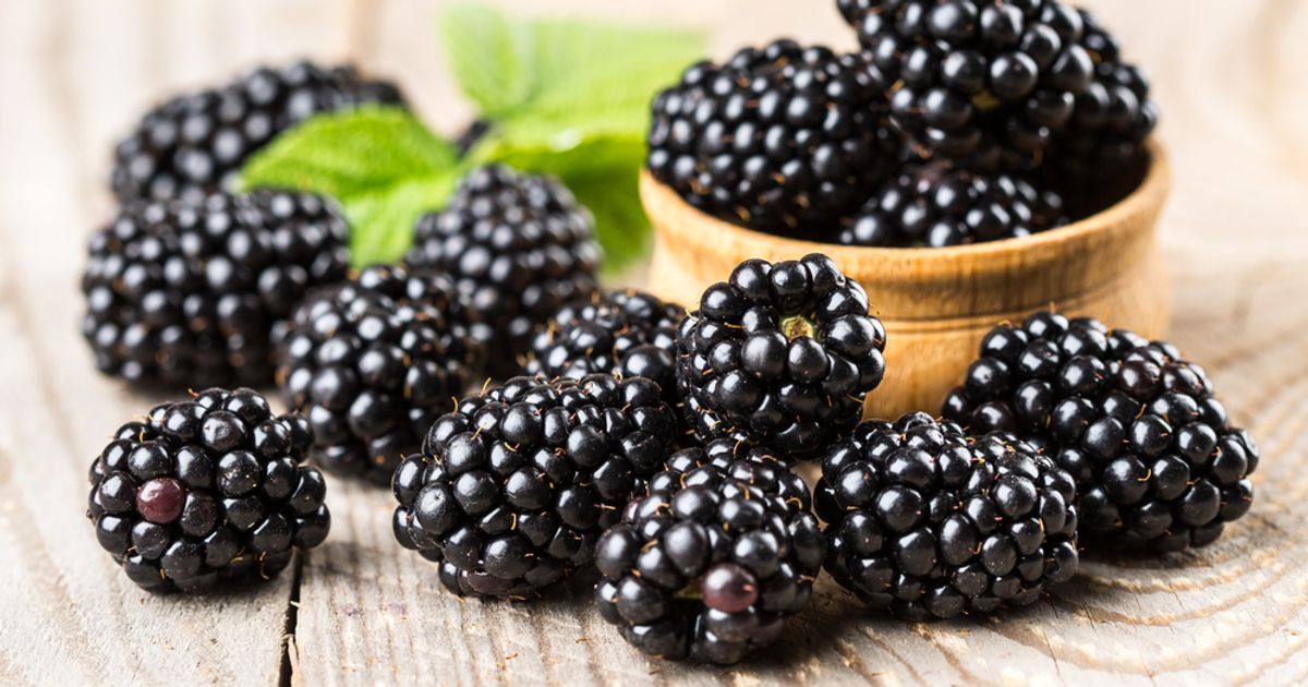 10 Reasons to Eat Blackberries Today Facty Health