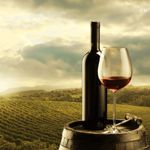 10 Healthy Reasons to Pour Yourself a Glass of Red Wine Tonight (And Every Night)
