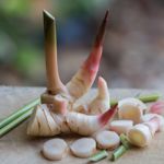 10 Health Benefits of Galangal