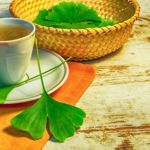 10 Proven Health Benefits of Ginkgo Biloba