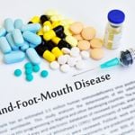 Hand, Foot, and Mouth Disease: Symptoms and Remedies