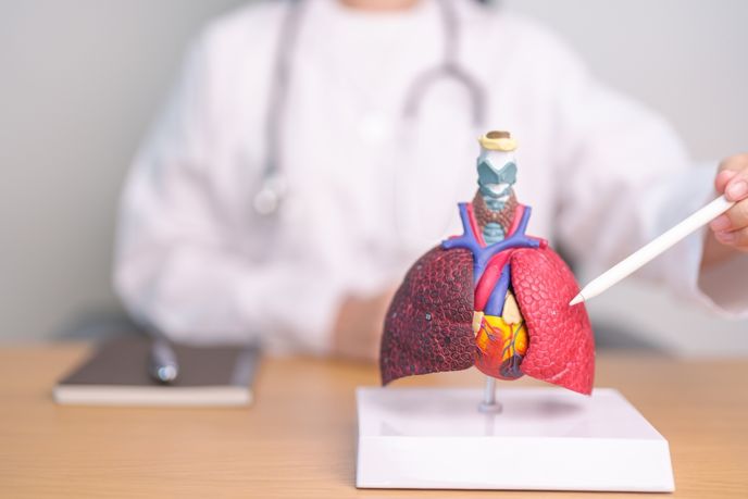 Essential Information on Pleural Effusion: Causes, Symptoms, and Treatments
