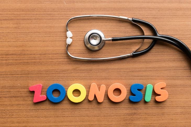 Frequently Asked Questions About Zoonosis