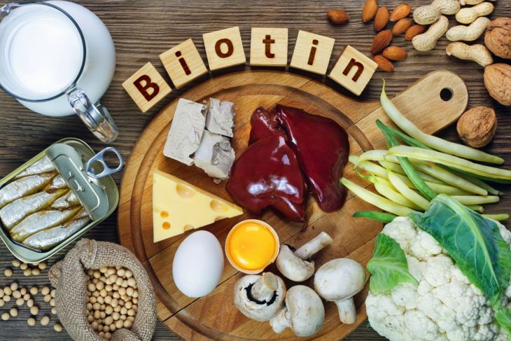 Biotin Vitamin B7: A Key to Enhanced Metabolism and More