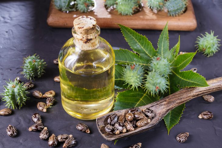 27 Health Benefits of Castor Oil